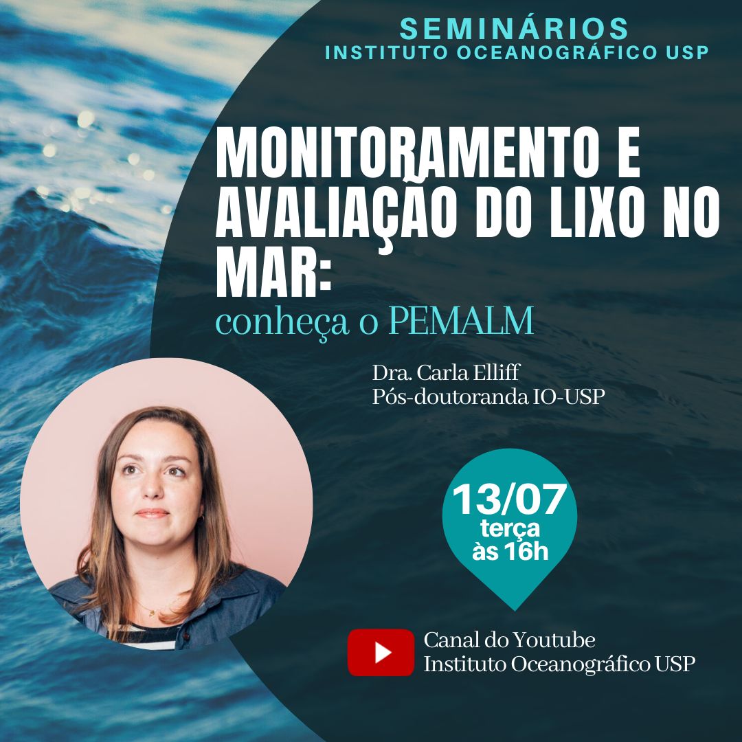 SEMINÁRIOS IO Carla Elliff