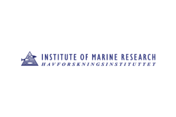 logo imr